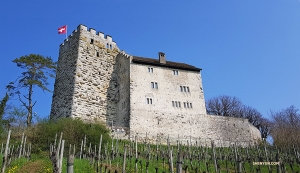 Built around 1020, the fortress has changed a lot since. Today, there is a beautiful vineyard outside and a restaurant inside.